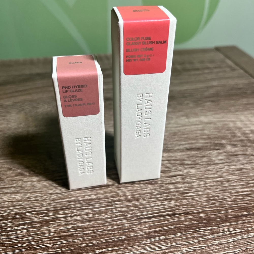 Haus Labs By Lady Gaga lip glaze & blush balm Duo